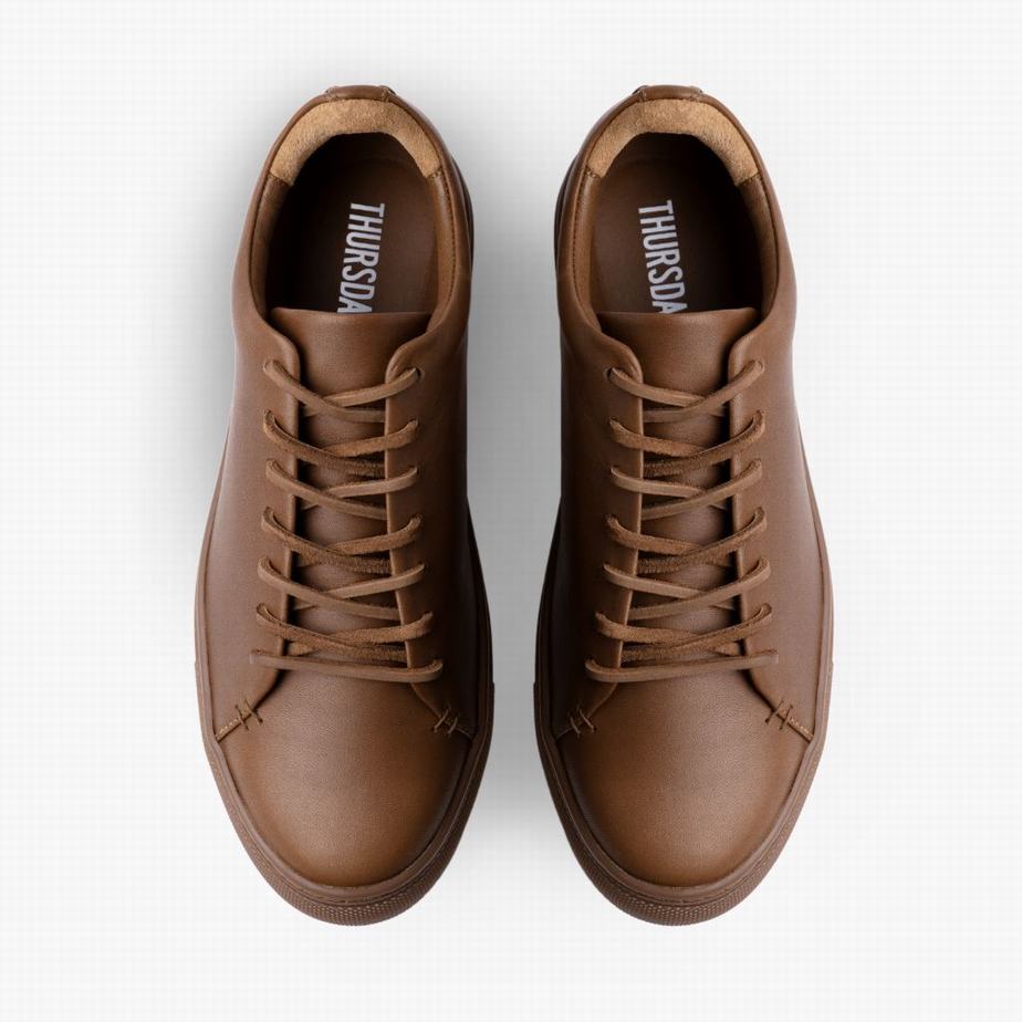 Thursday Boots Premier メンズ ローカットスニーカー 暗ブラウン | LKT9975OL