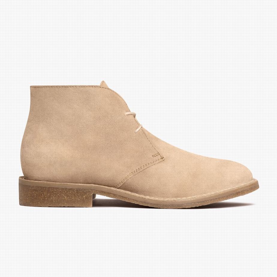 Thursday Boots Scout メンズ チャッカブーツ Dune | UAB56HY